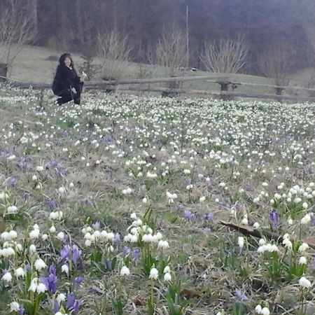 Садиба Під Гострою Szarvasháza Kültér fotó