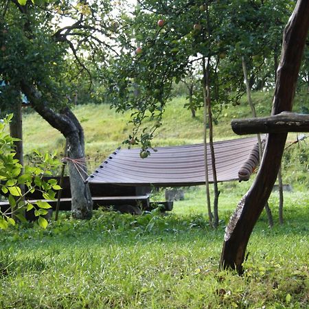 Садиба Під Гострою Szarvasháza Kültér fotó
